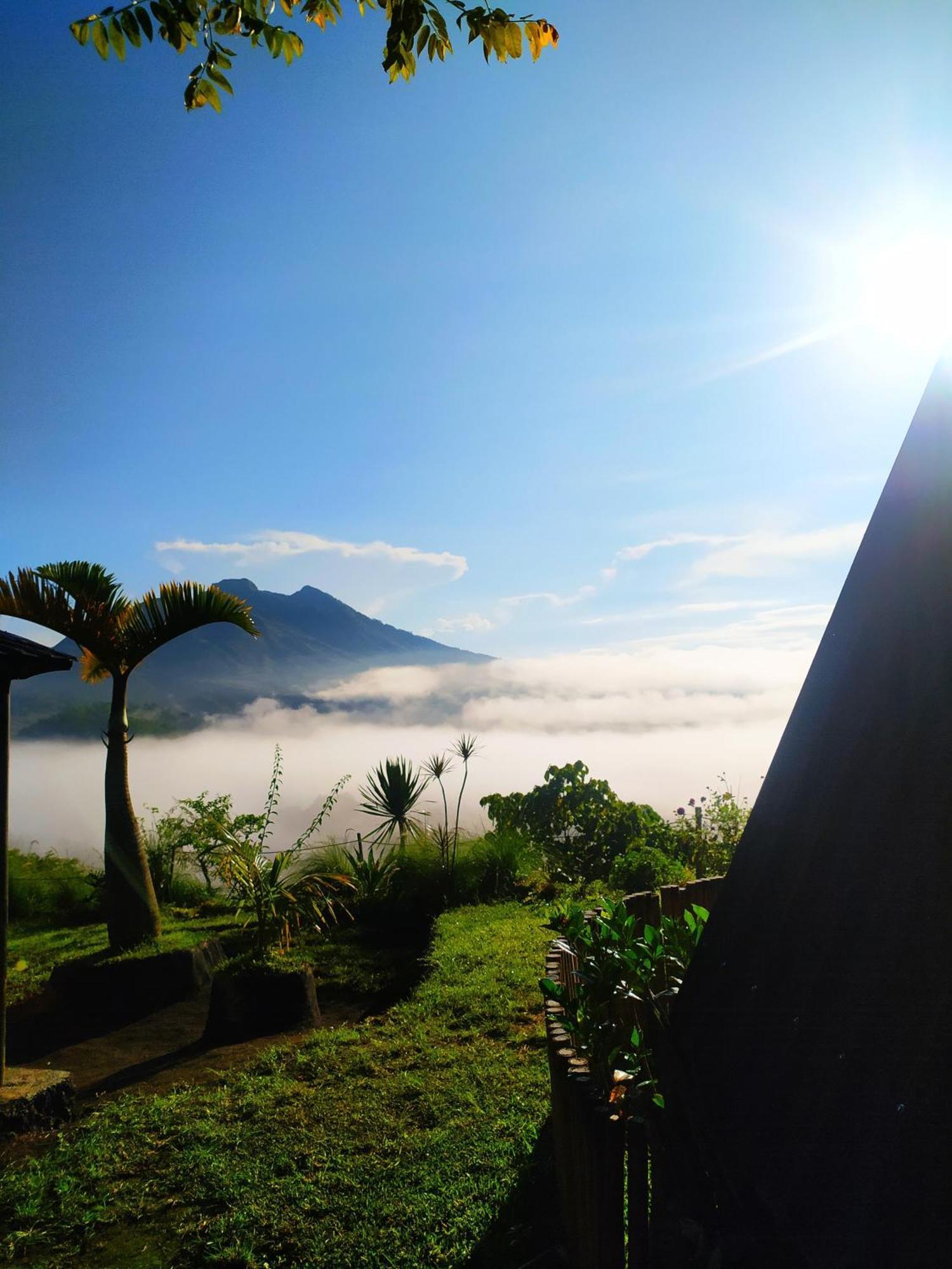 Kintamani Adventures 'Hide In Nature Lodge' Buitenkant foto