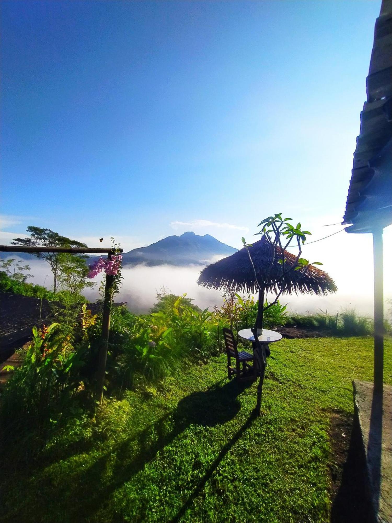 Kintamani Adventures 'Hide In Nature Lodge' Buitenkant foto
